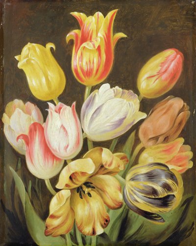 Flower Study by Johann Friedrich August Tischbein